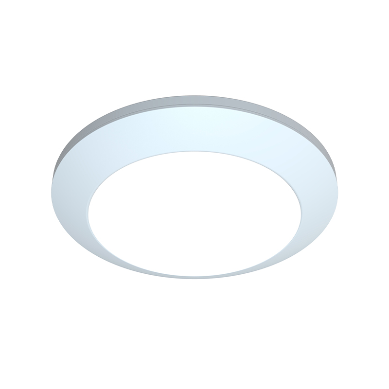 5CC triac dim disk light with NL TP-3013 